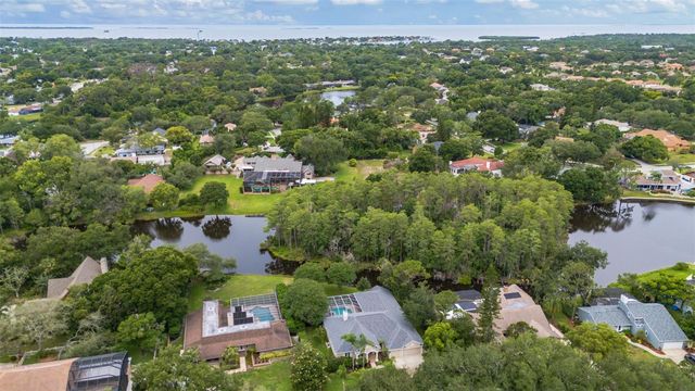 3110 HARVEST MOON DRIVE, Palm Harbor, FL 34683