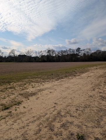 0 Iris Road, Dothan, AL 36301