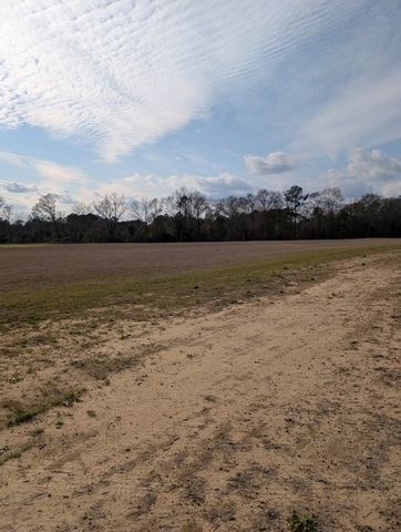 0 Iris Road, Dothan, AL 36301