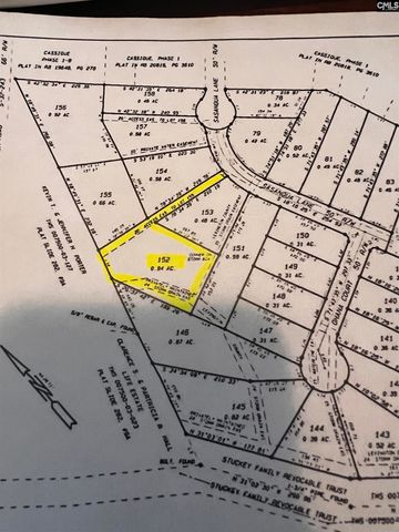 436 Sasanqua Lane, Lexington, SC 29073