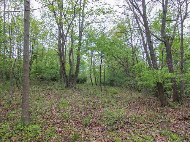 000-Unit 3 Ledgewood Ravine Trail, Fenton, MI 48430
