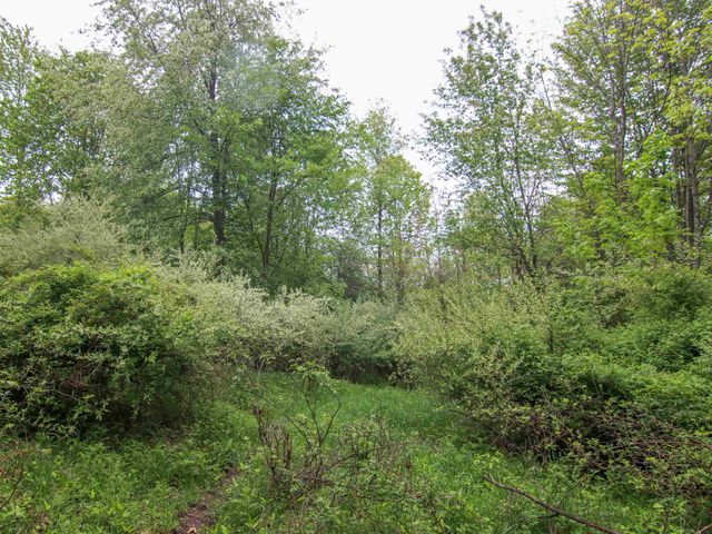 000-Unit 3 Ledgewood Ravine Trail, Fenton, MI 48430