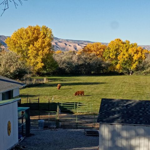 847 26 Road, Grand Junction, CO 81506