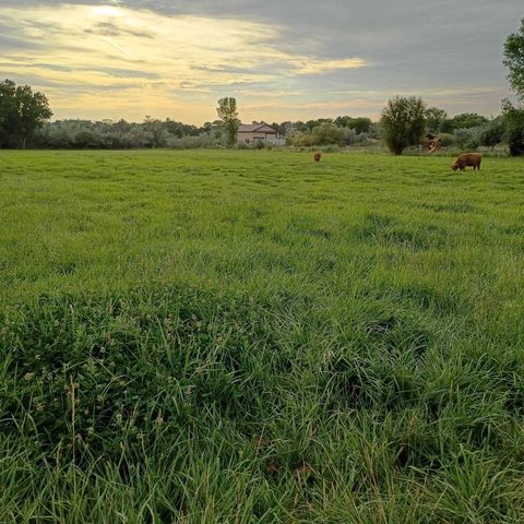 847 26 Road, Grand Junction, CO 81506