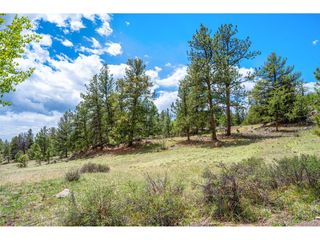 527 Plateau Dr, Guffey, CO 80820