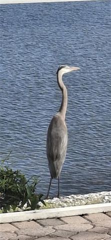 11779 SW DALLAS DRIVE S, Lake Suzy, FL 34269