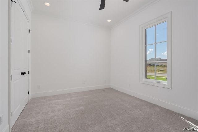 442 Hardwick, Tuscaloosa, AL 35406
