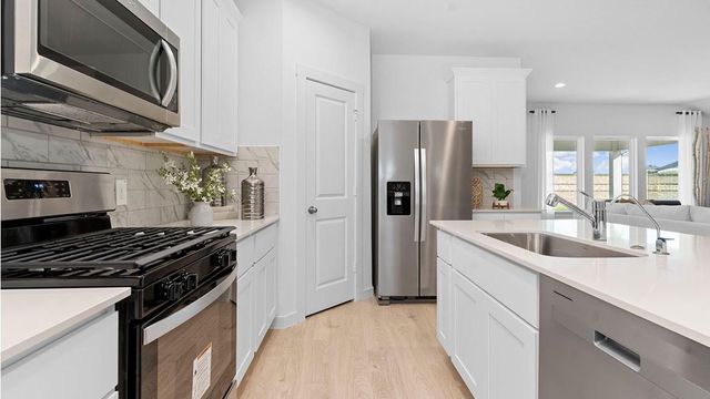 30727 Wicklow Gardens Drive, Fulshear, TX 77441