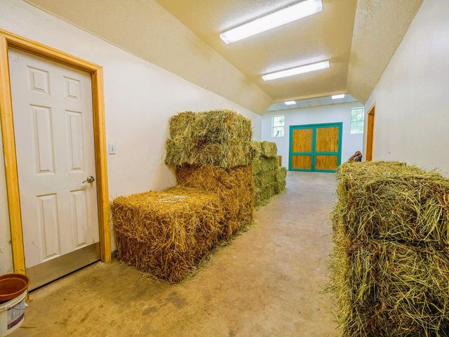 39526 Cimarron Way, Magnolia, TX 77354