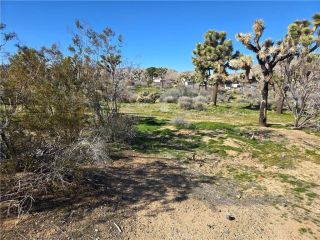 7484 Palm, Yucca Valley, CA 92284