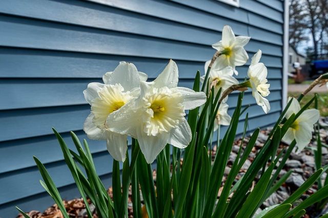 28 Lakeview, Wareham, MA 02538