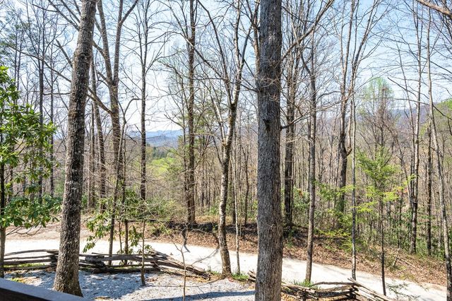 439 Granny Squirrel Drive, Andrews, NC 28901