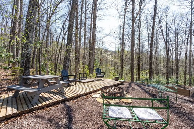 439 Granny Squirrel Drive, Andrews, NC 28901