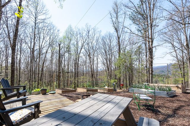 439 Granny Squirrel Drive, Andrews, NC 28901