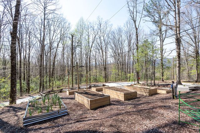 439 Granny Squirrel Drive, Andrews, NC 28901