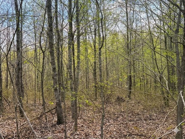 0 Topside Drive, Dover, TN 37058
