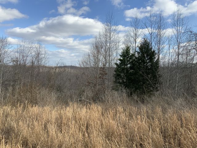 0 Topside Drive, Dover, TN 37058