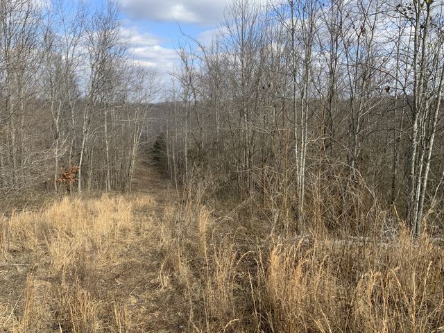 0 Topside Drive, Dover, TN 37058