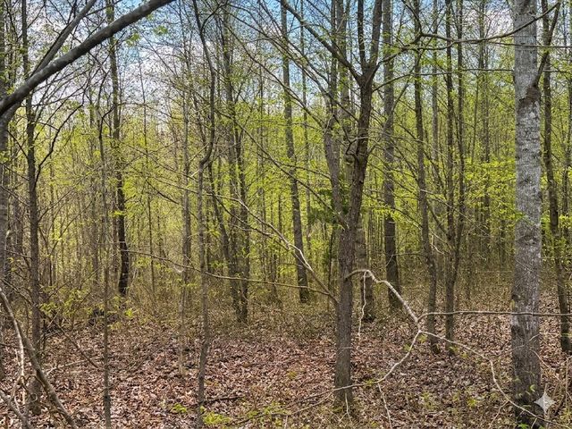0 Topside Drive, Dover, TN 37058