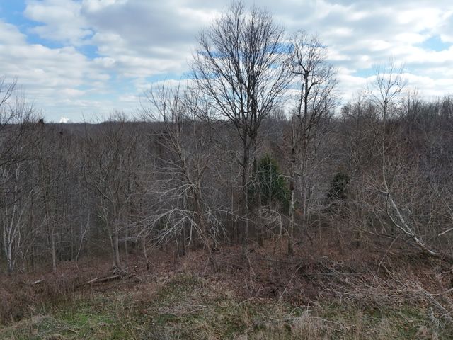 0 Topside Drive, Dover, TN 37058