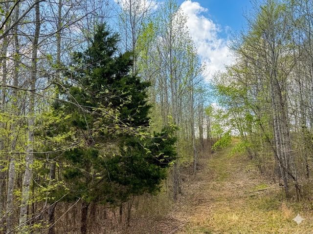 0 Topside Drive, Dover, TN 37058