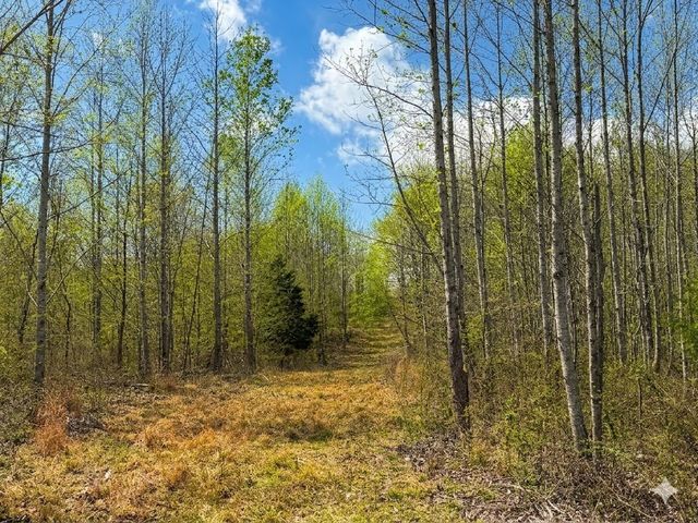 0 Topside Drive, Dover, TN 37058