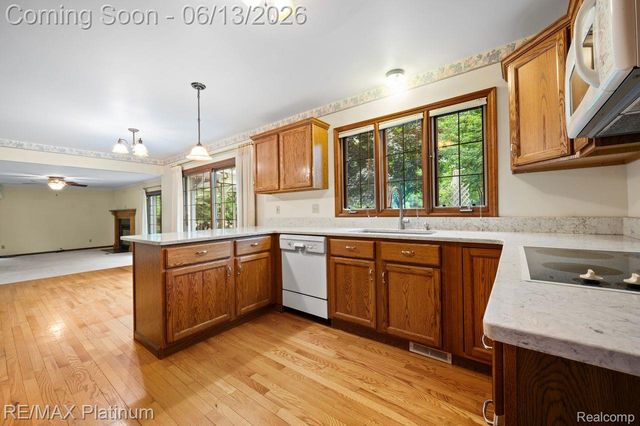 12902 Autumn Ridge Court, Brighton Township, MI 48380