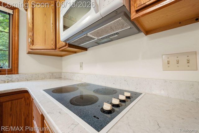 12902 Autumn Ridge Court, Brighton Township, MI 48380