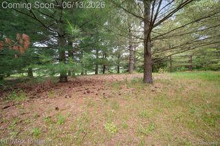 12902 Autumn Ridge Court, Brighton Township, MI 48380