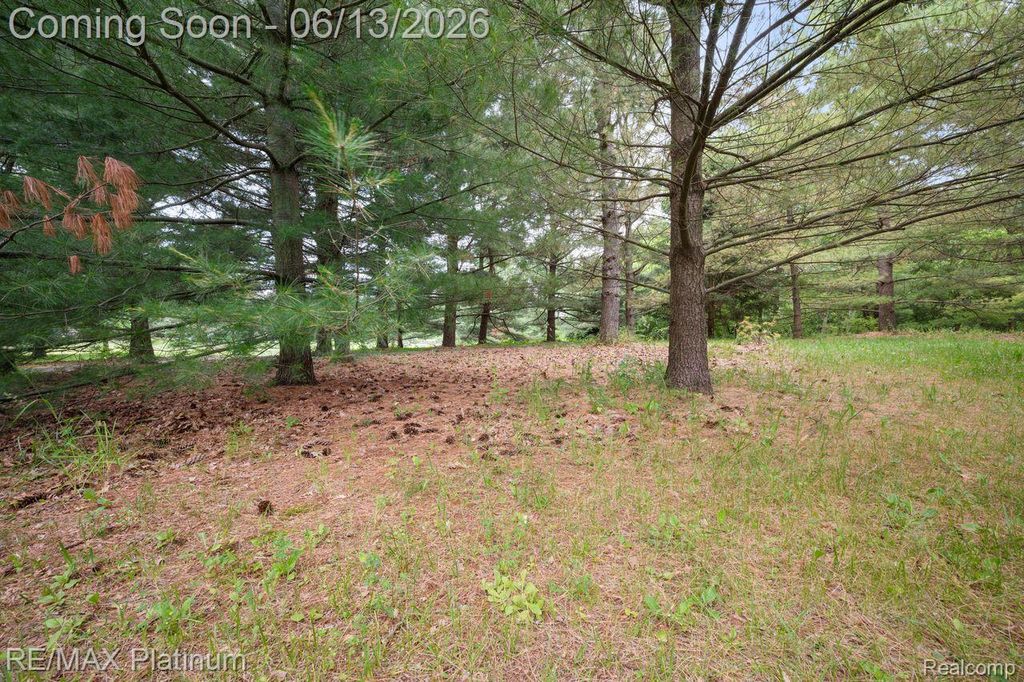 12902 Autumn Ridge Court, Brighton Township, MI 48380