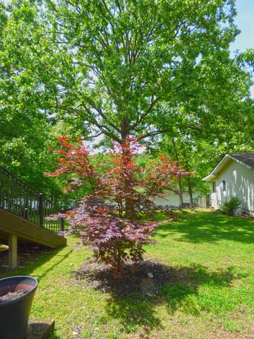 46 Enid Drive, Cherokee Village, AR 72529