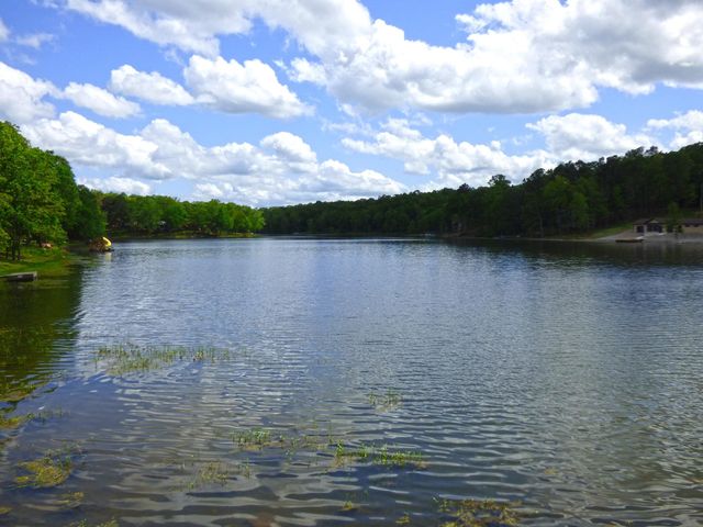 46 Enid Drive, Cherokee Village, AR 72529