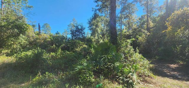 TBD N Edgeline Rd, Satsuma, FL 32189