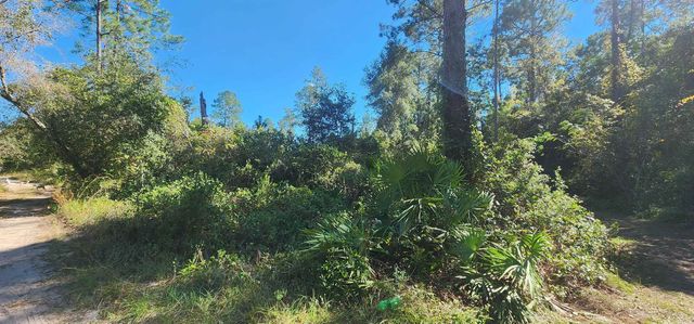 TBD N Edgeline Rd, Satsuma, FL 32189