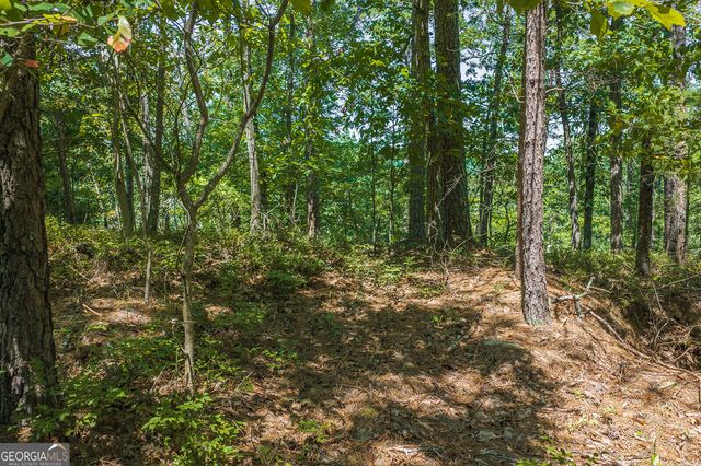 694-695 Railey Ridge 694-695, Ranger, GA 30734