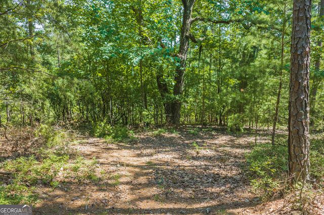 694-695 Railey Ridge 694-695, Ranger, GA 30734