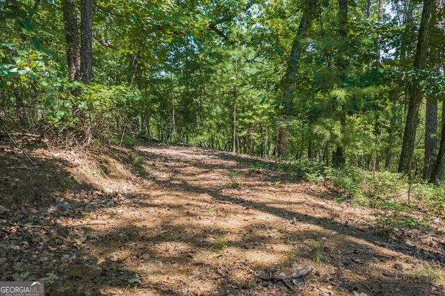 694-695 Railey Ridge 694-695, Ranger, GA 30734