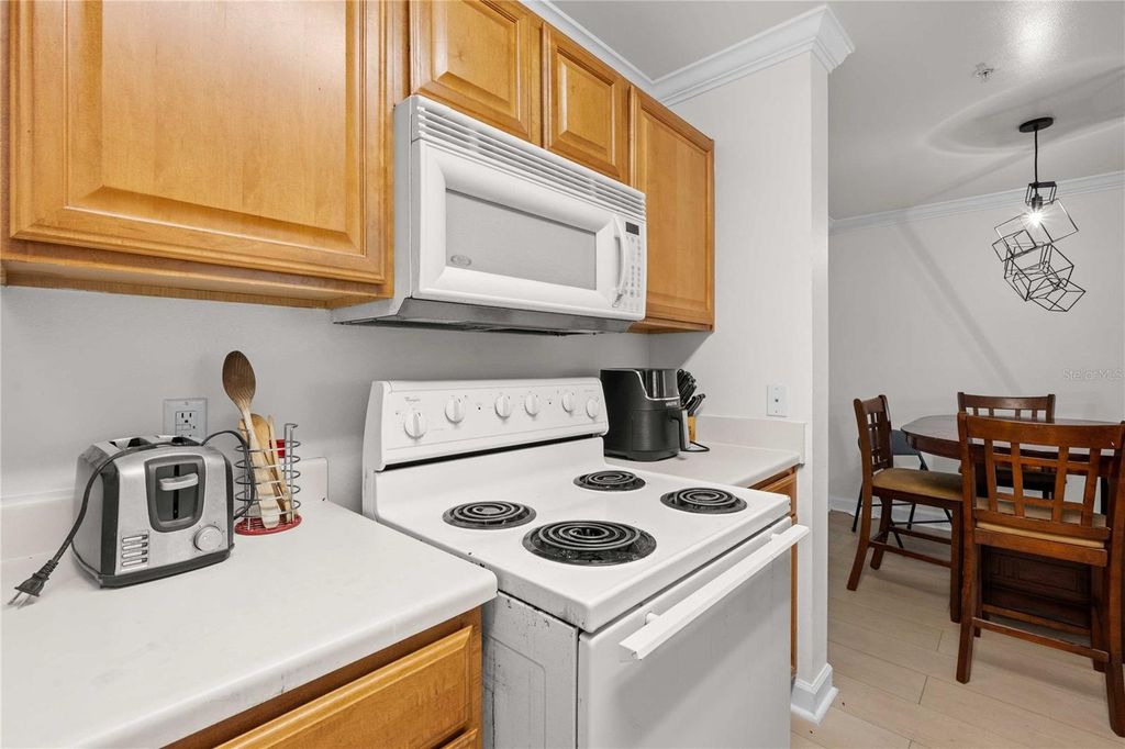 Image 14 of property listing at 18235 BRIDLE CLUB DRIVE 18235, Tampa, FL 33647