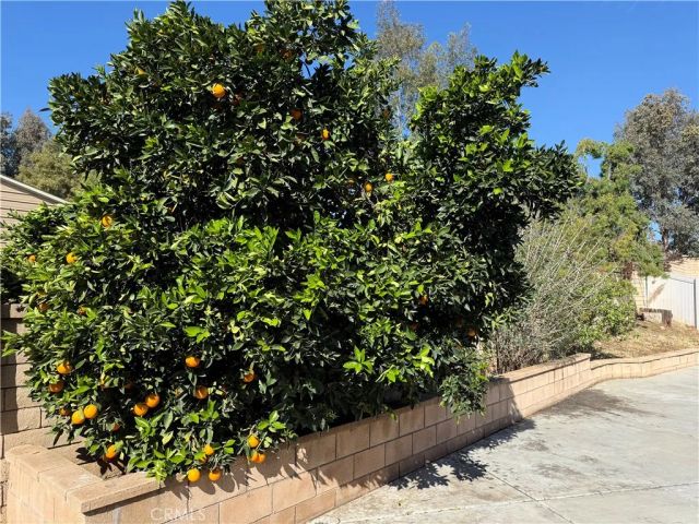 22322 Hillshore Court, Wildomar, CA 92595