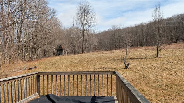 858 Randall Hill Road, Masonville, NY 13839