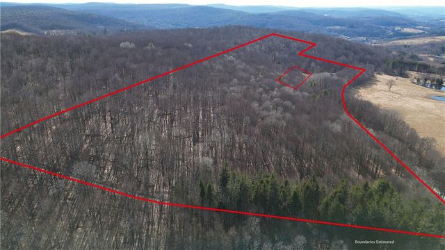 858 Randall Hill Road, Masonville, NY 13839