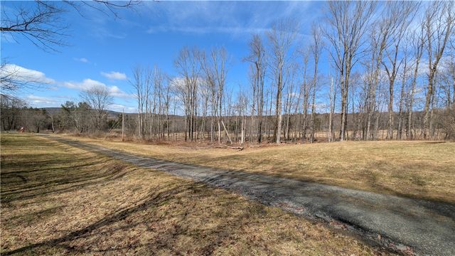 858 Randall Hill Road, Masonville, NY 13839