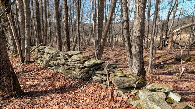 858 Randall Hill Road, Masonville, NY 13839