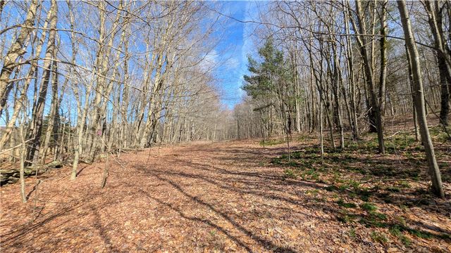 858 Randall Hill Road, Masonville, NY 13839