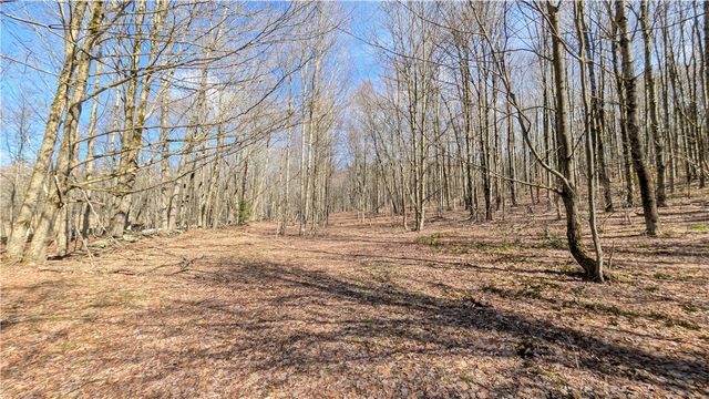 858 Randall Hill Road, Masonville, NY 13839