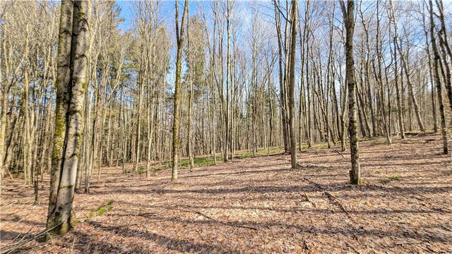 858 Randall Hill Road, Masonville, NY 13839