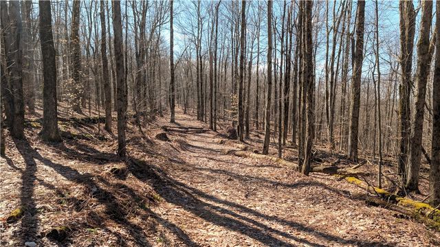 858 Randall Hill Road, Masonville, NY 13839