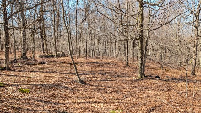 858 Randall Hill Road, Masonville, NY 13839