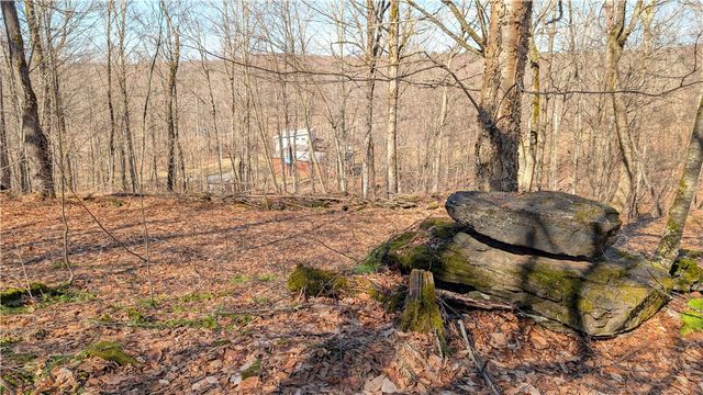 858 Randall Hill Road, Masonville, NY 13839