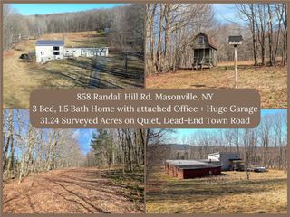 858 Randall Hill Road, Masonville, NY 13839